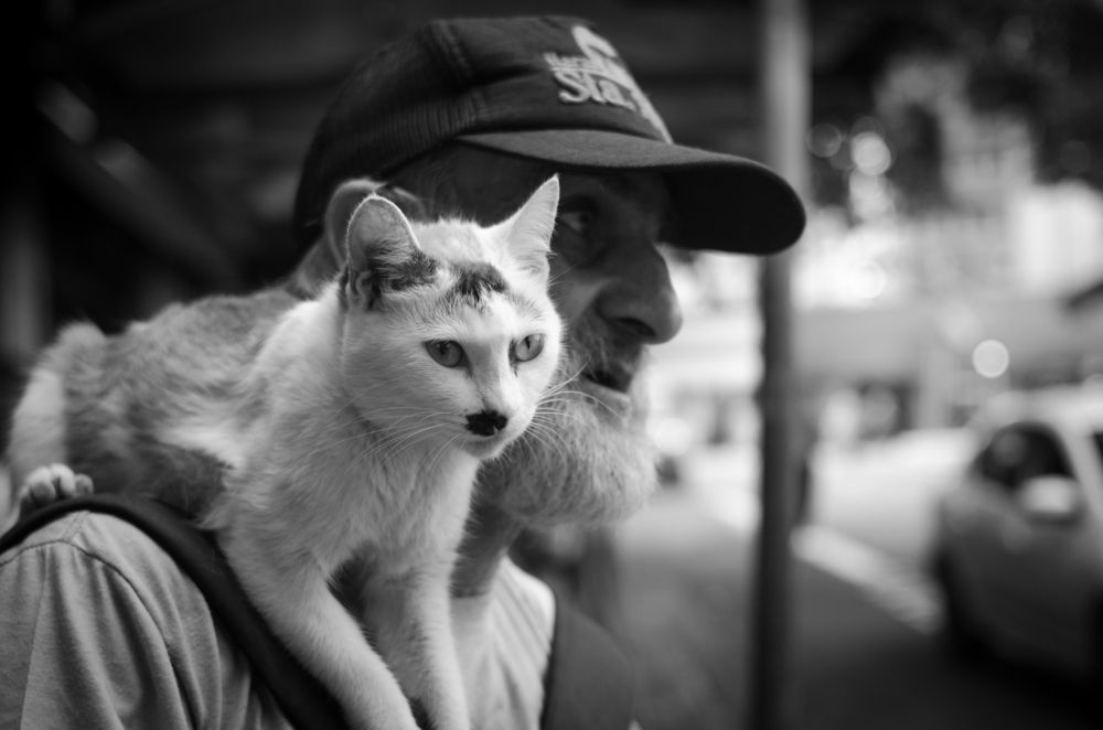 Homeless man and his companion 2