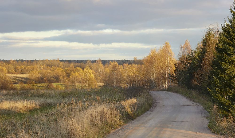 По дороге из Ивантеево в Миробудицы.