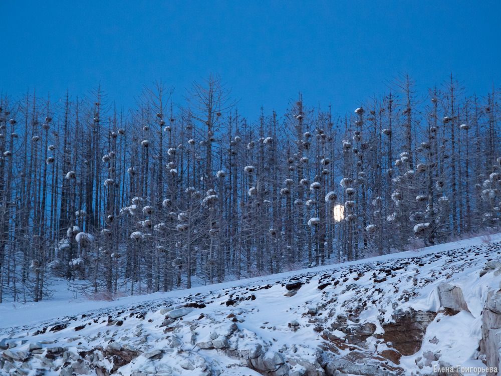Застрявшая луна