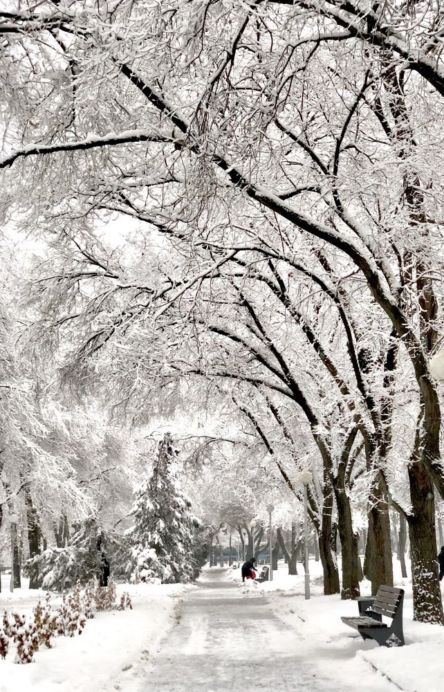 Photograph by Искандар Газизов