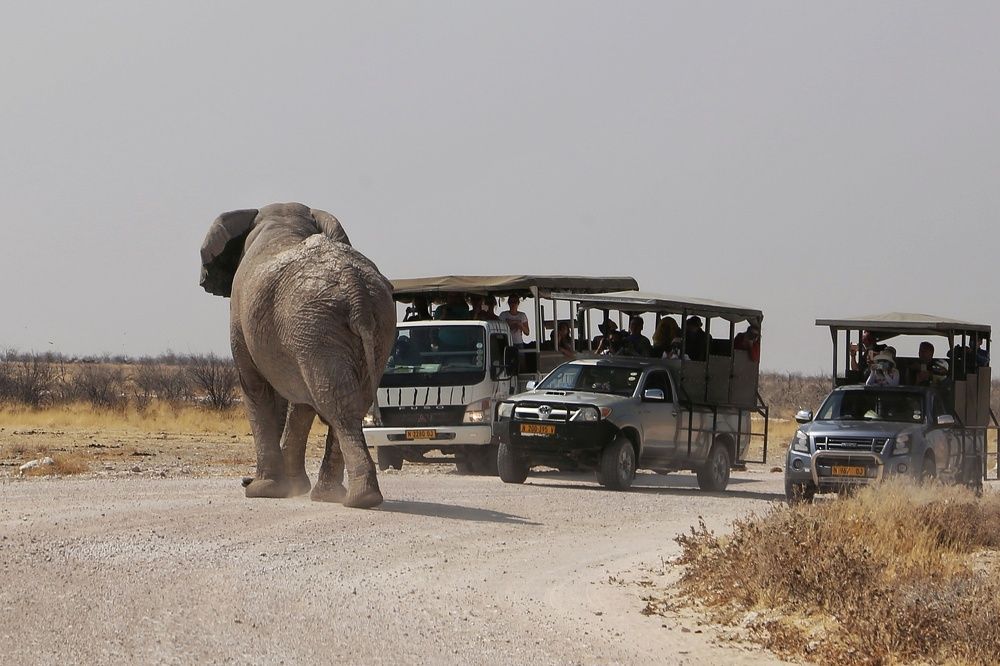 И кто это тут у Нас