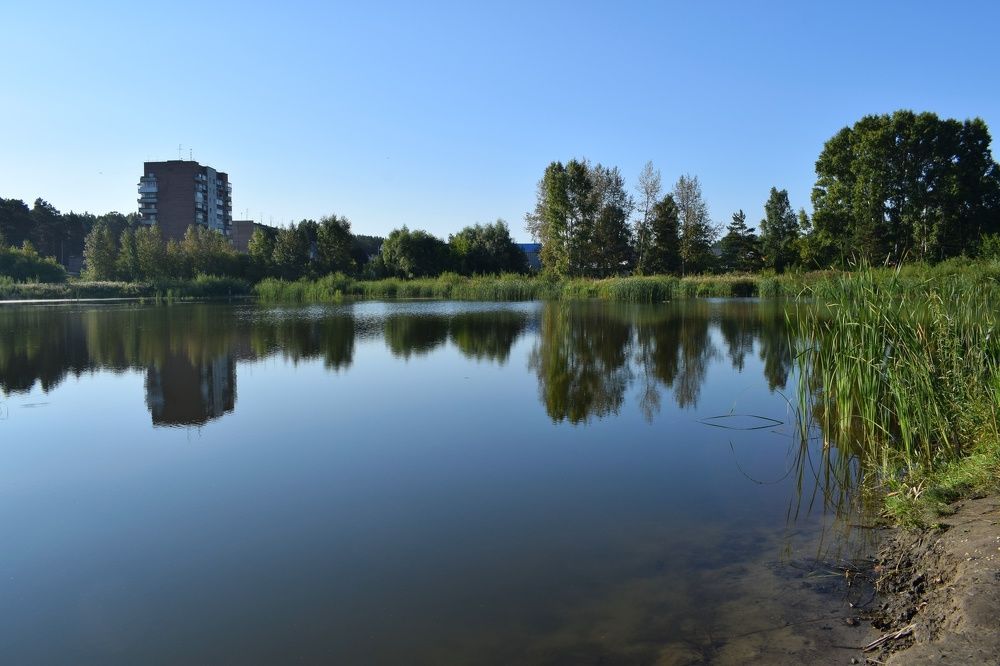 Солнечный день