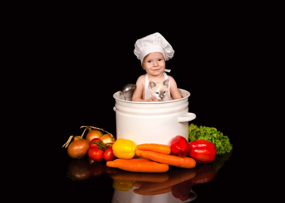 Суп с котом