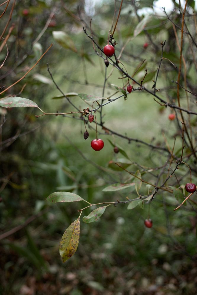 Photograph by Владимир Овсянников