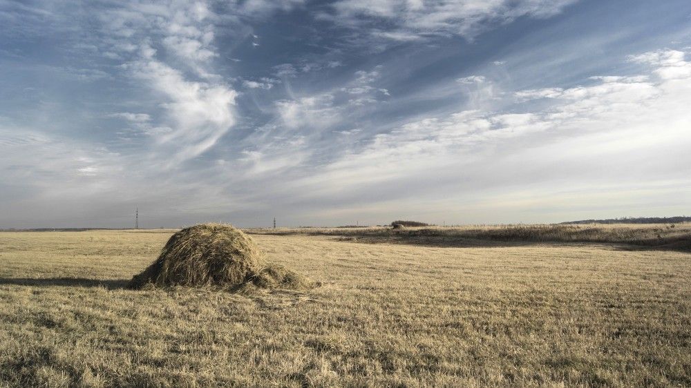 Русские просторы