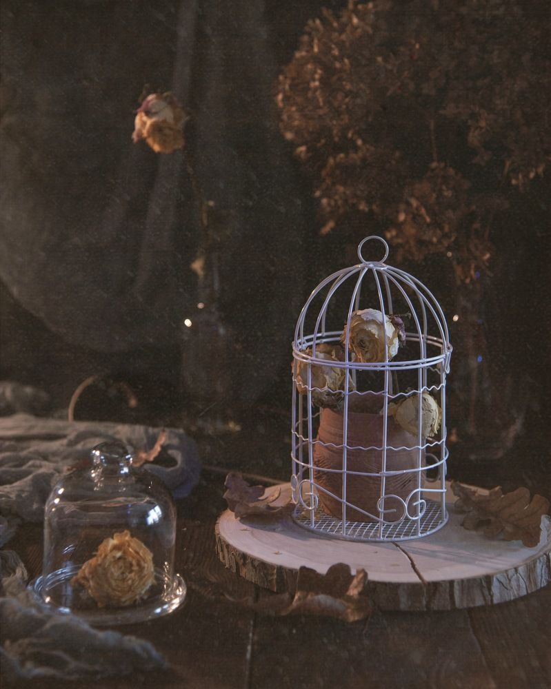 Photograph by Прокошева Екатерина