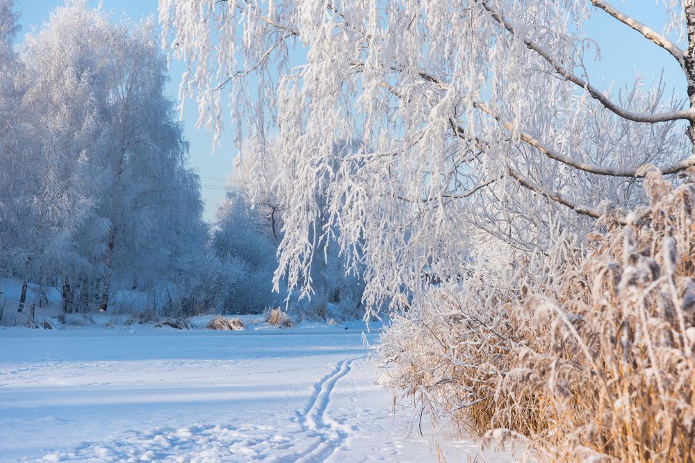 Photograph by Прокошева Екатерина