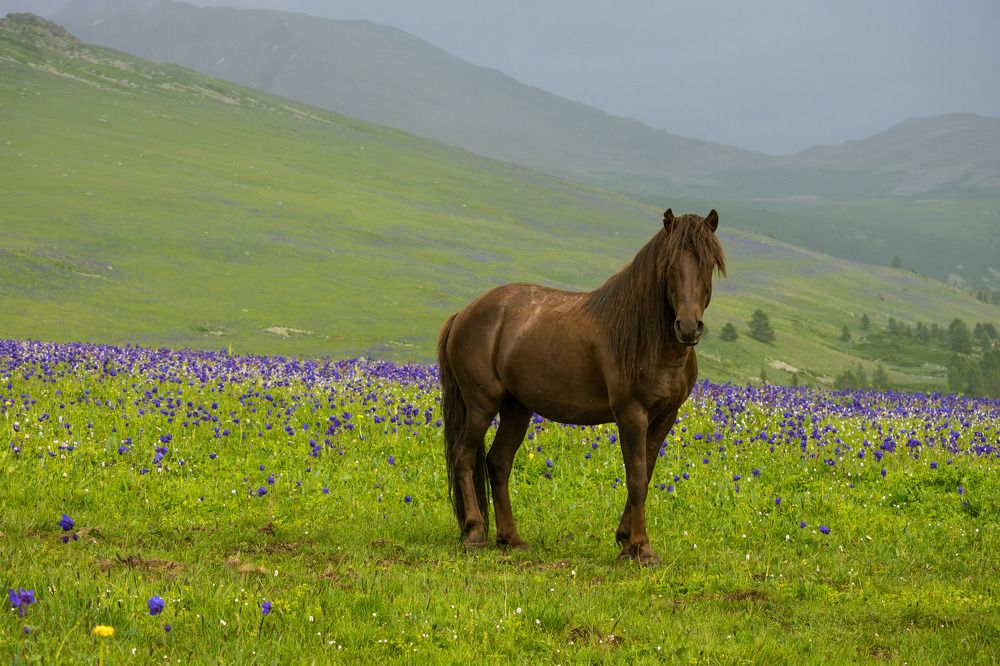 Photograph by Галина Канеева