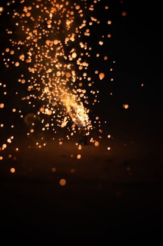 People think I'm totally crackers.  ~ Andrea Riseborough