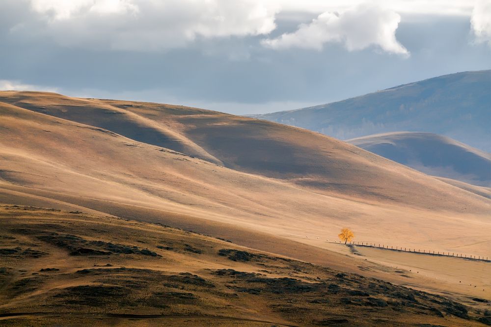 Осенняя меланхолия