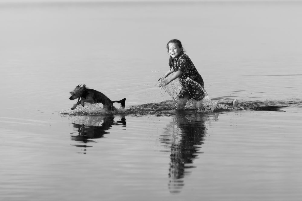 Купание питомца