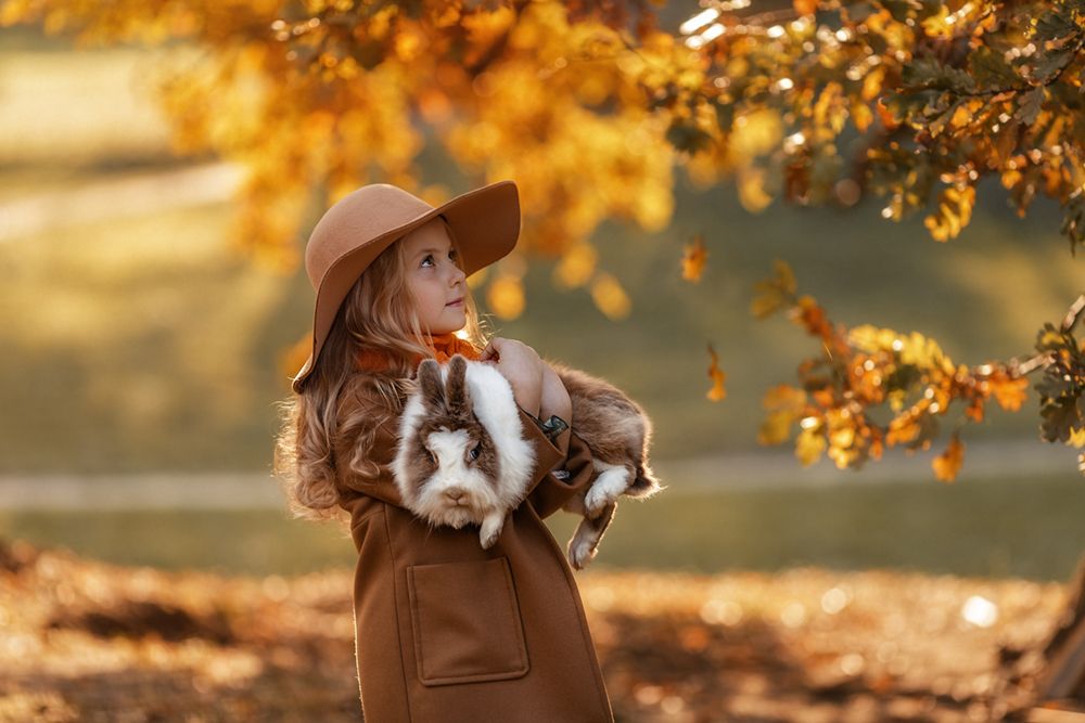 Вот и осень наступила