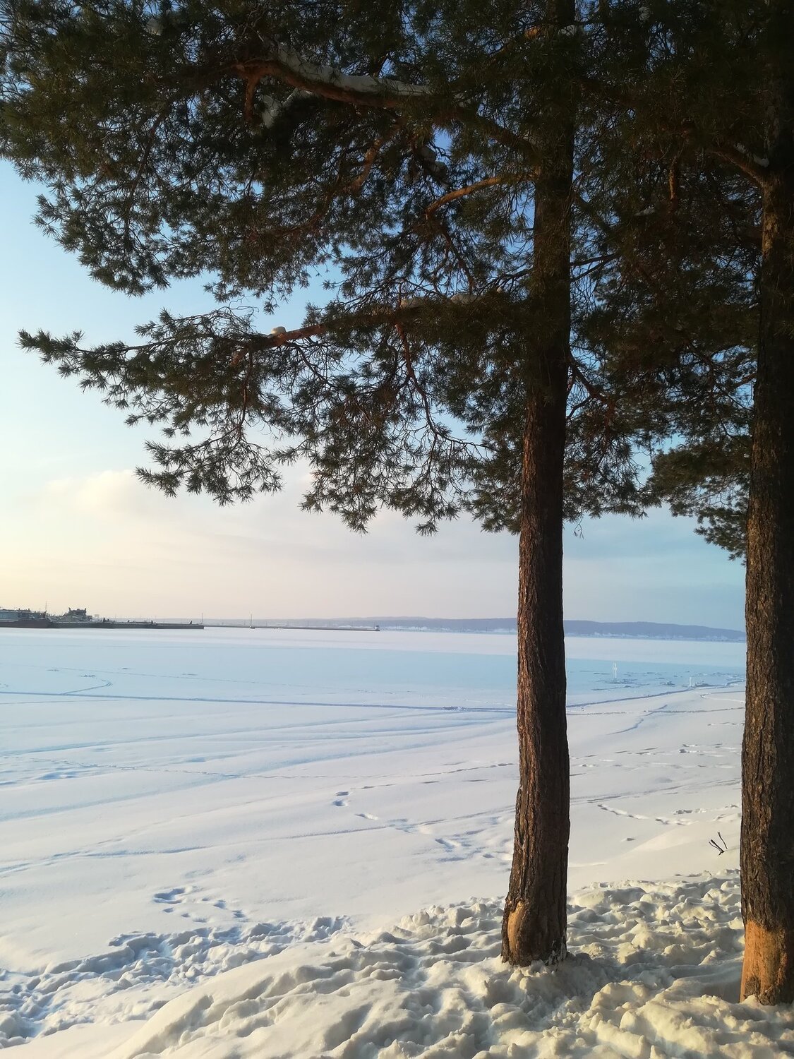 Photo #3061733