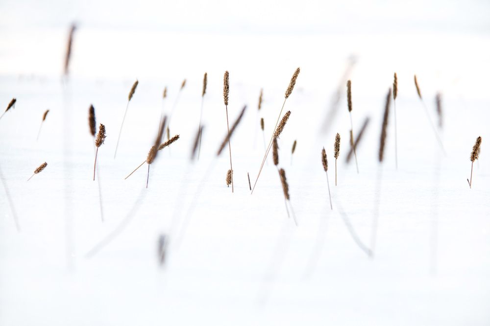 Пробуждение