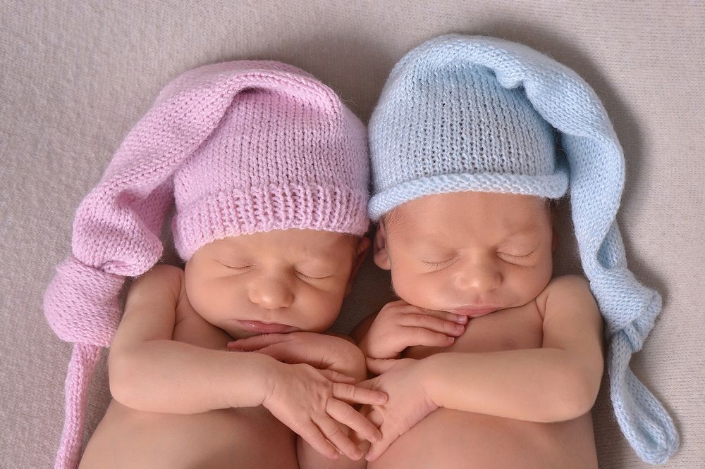 Королевская двойня