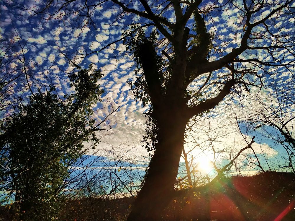 эти неповторимые облака