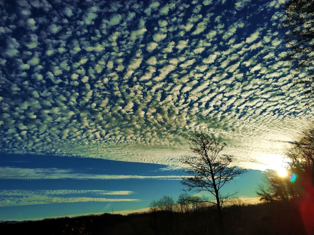 дикая природа