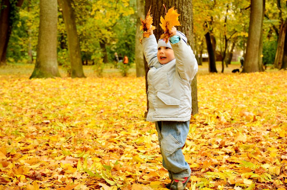 золотая осень