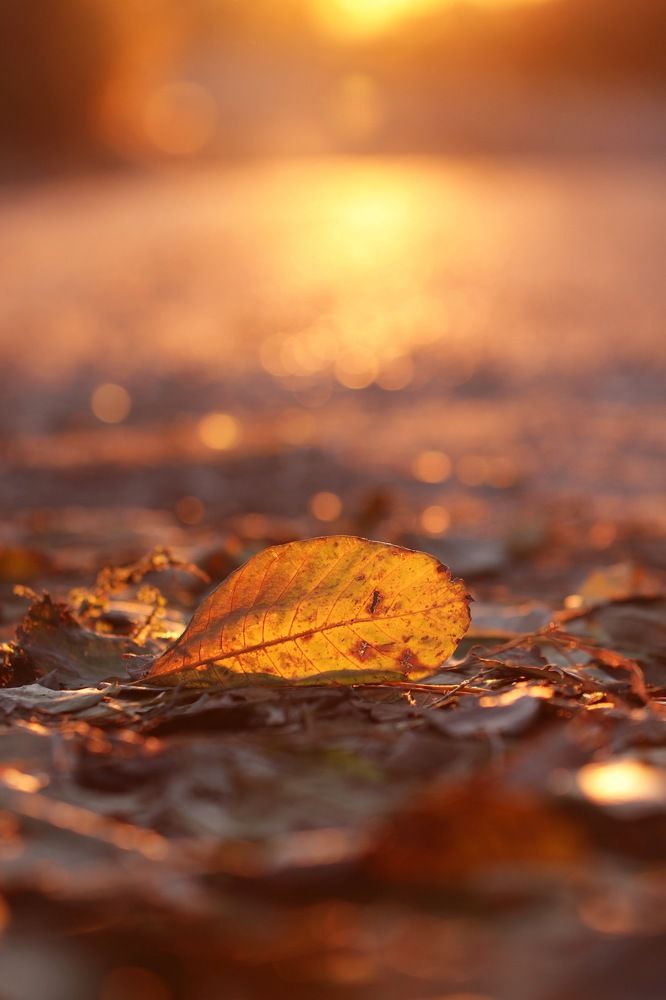 Photograph by Екатерина Фокина