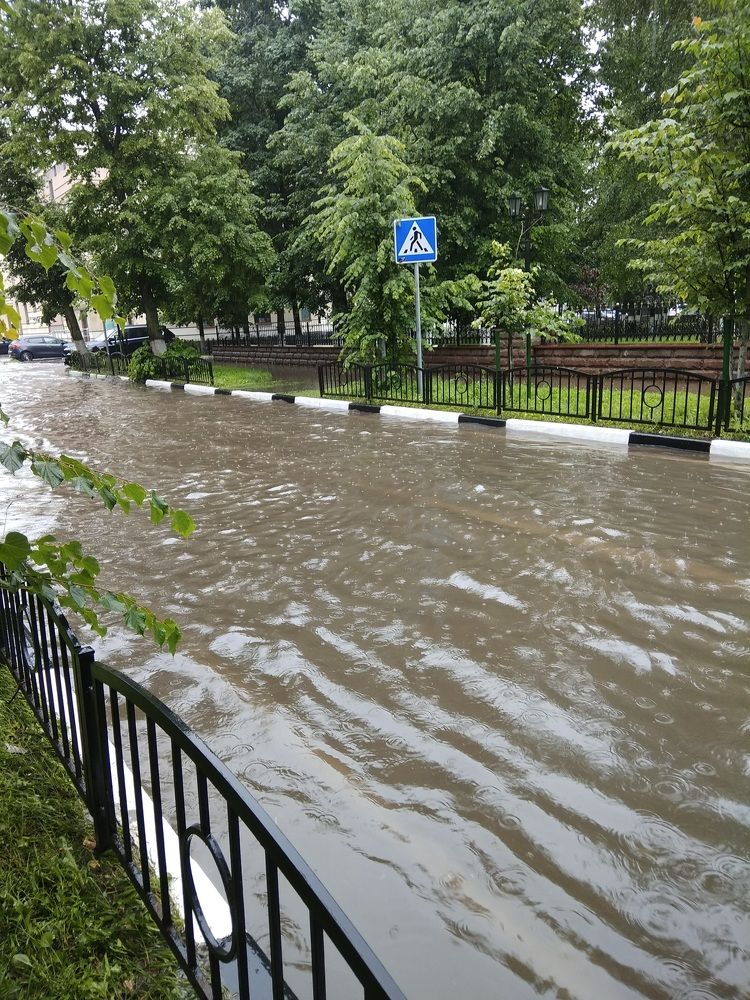 Пешеход, ты плыви, плыви