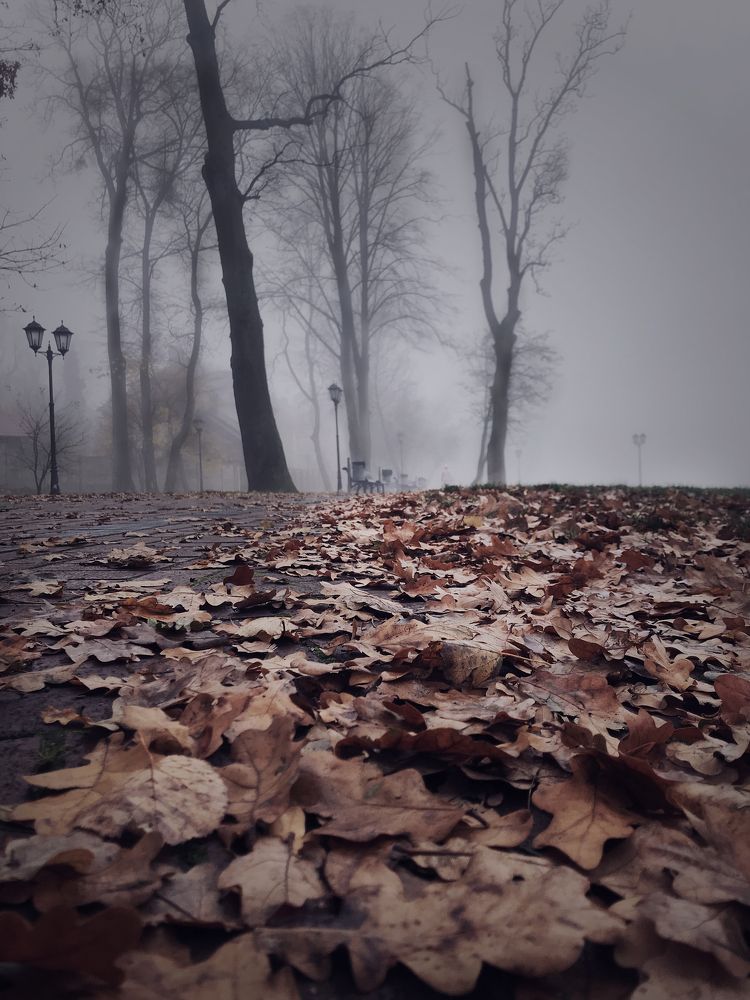 Сумеречный город