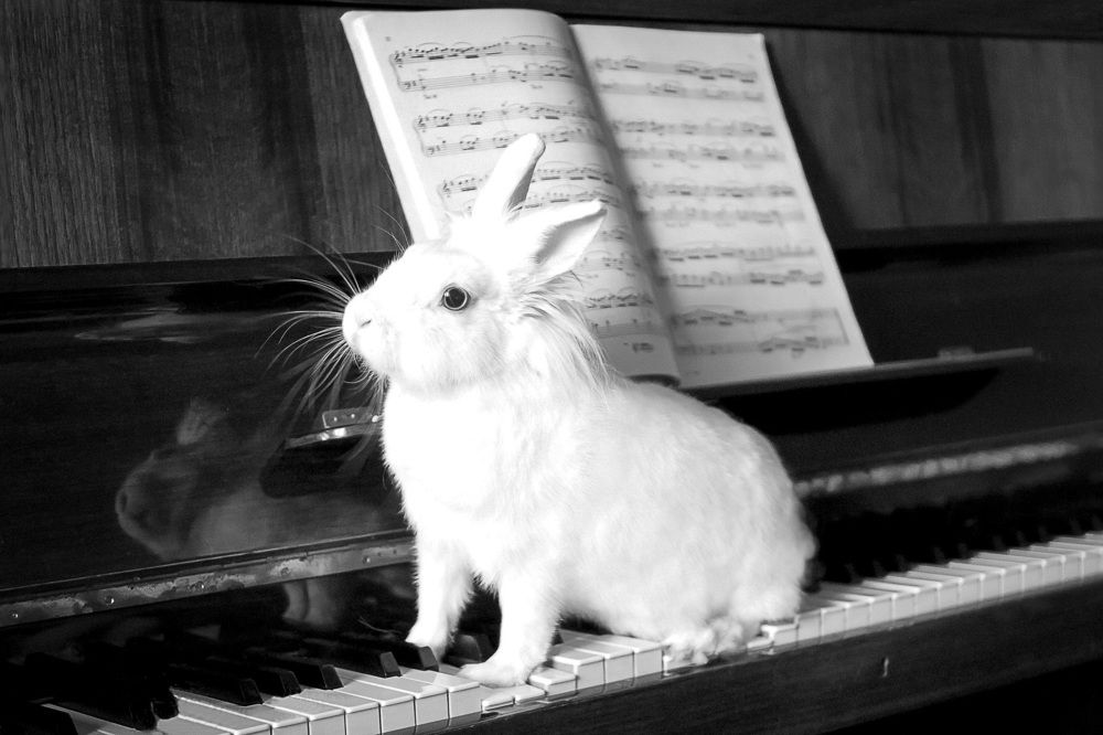 В ожидании аплодисментов