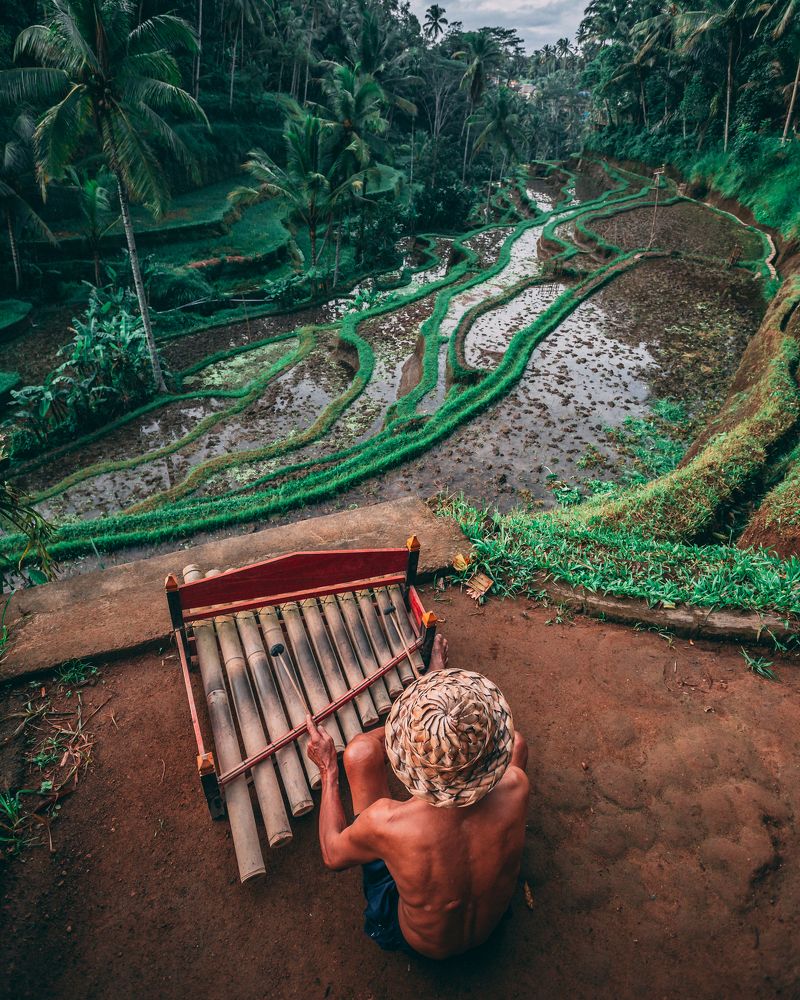 Утренний звук Риндика