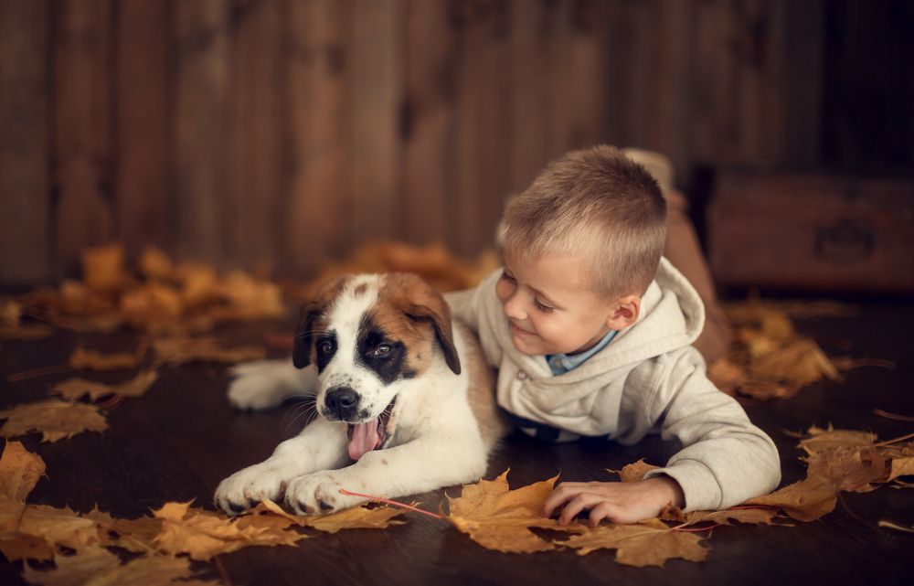 Стёпочка и Клёпочка