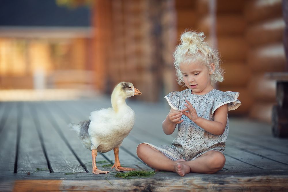 Мое деревенское лето