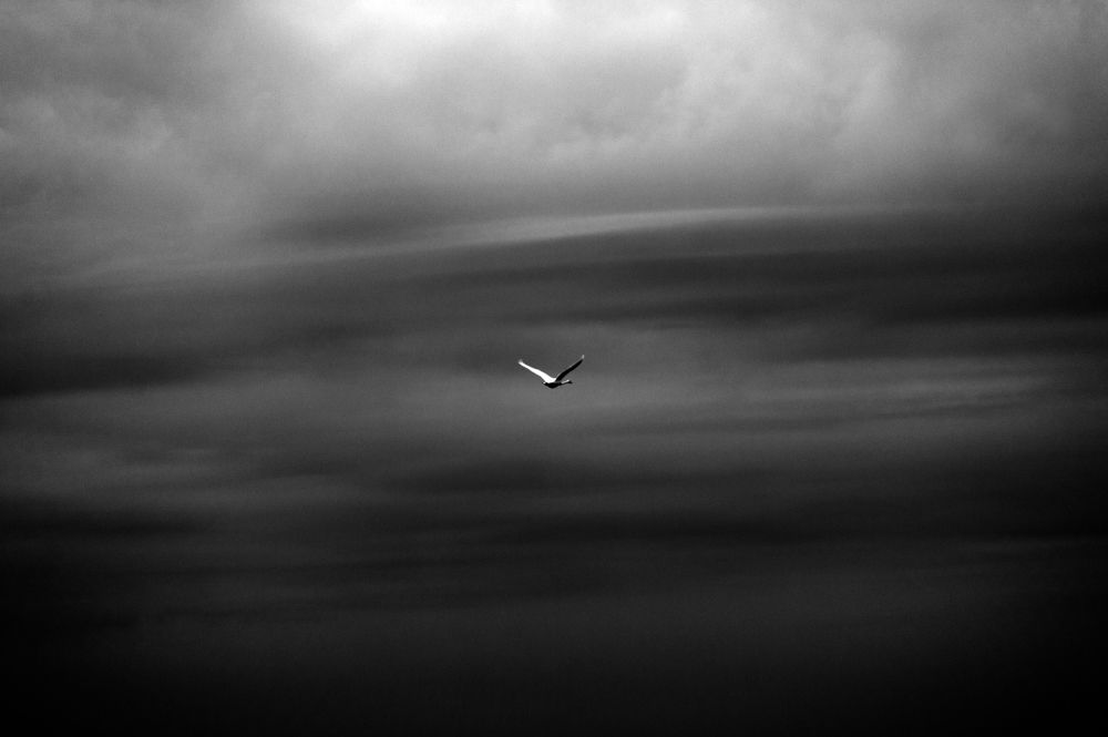 В теплые страны