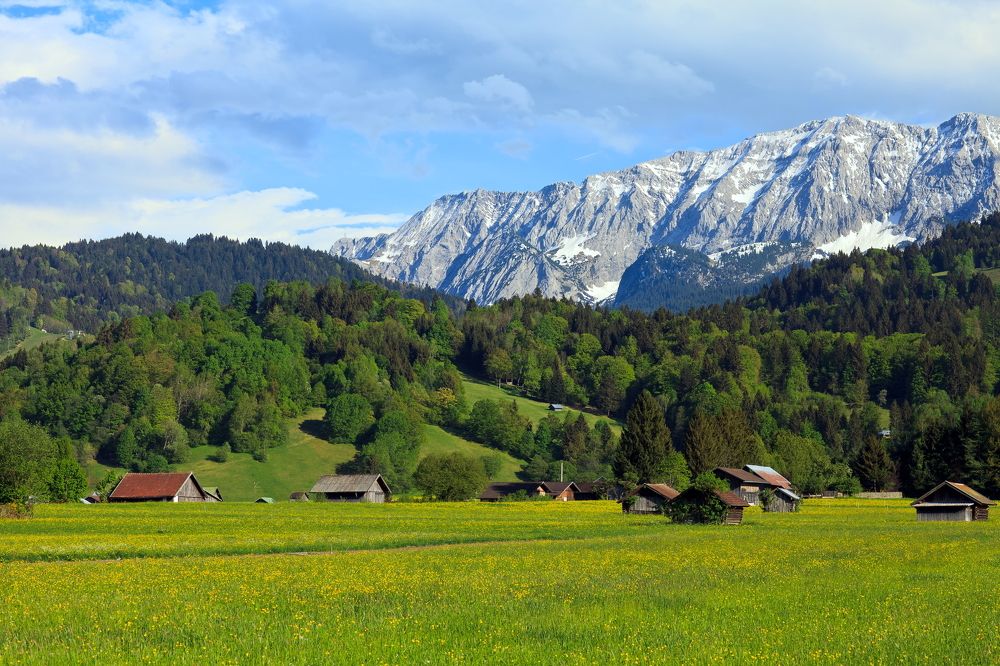 Альпийская весна