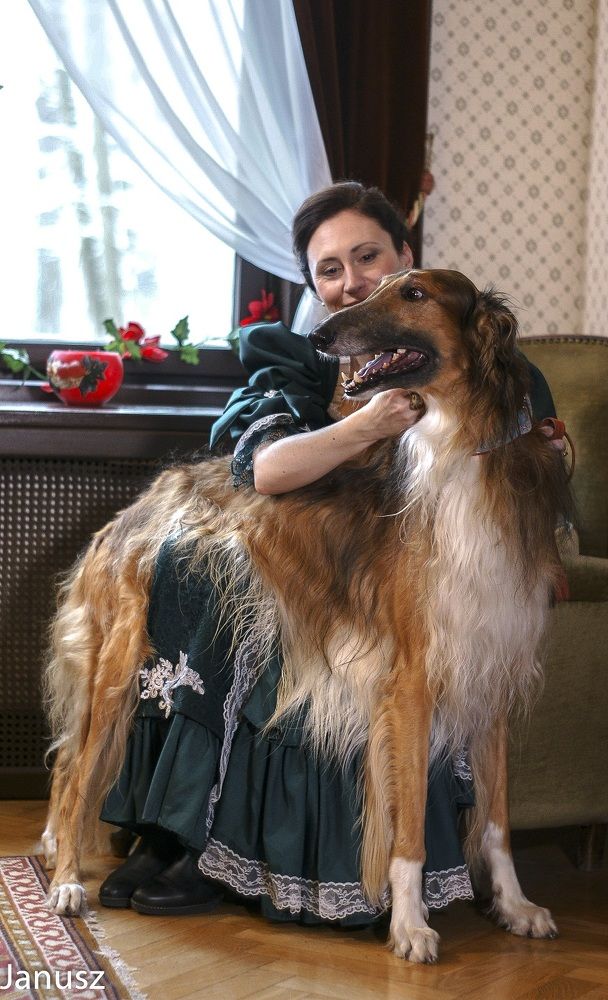 Kuskaya’s Mischenka