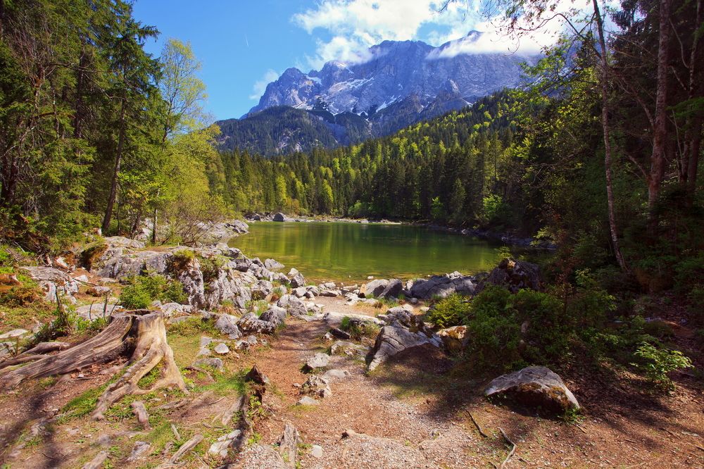 Лесное горное озеро