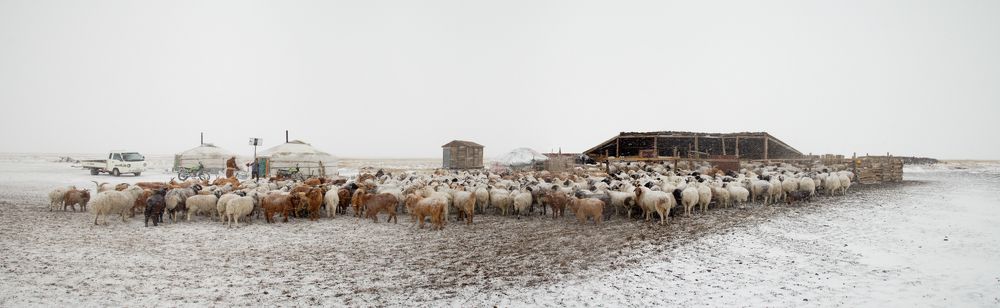 В гостях в монгольской юрте