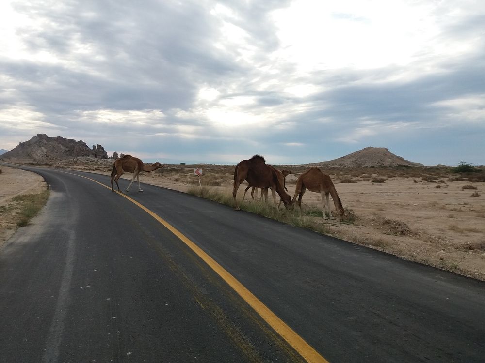 Iranian photograperrr