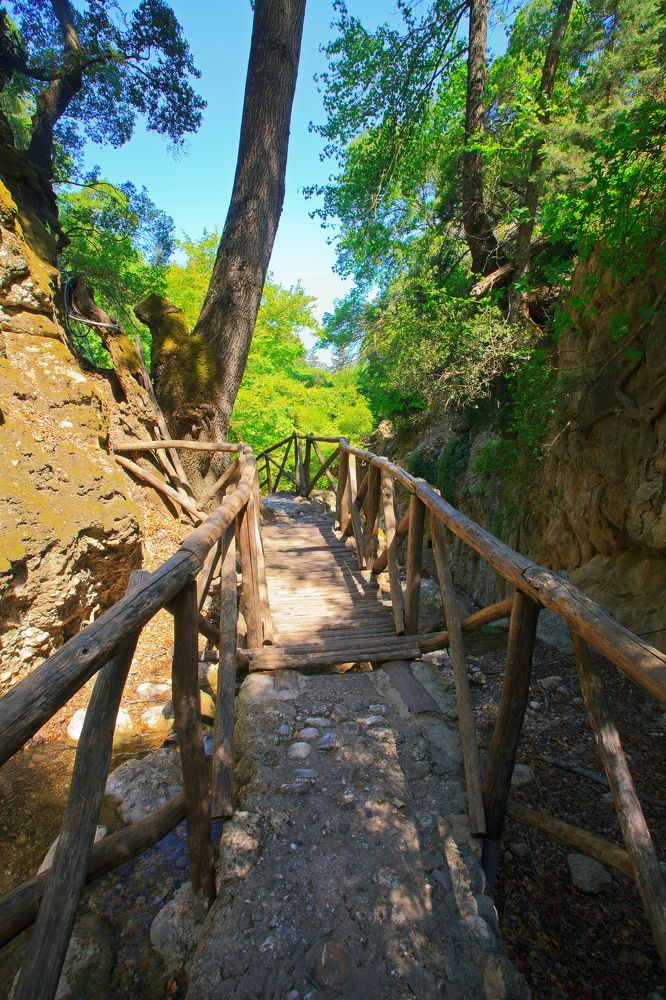 Дорога а ущелье бабочек