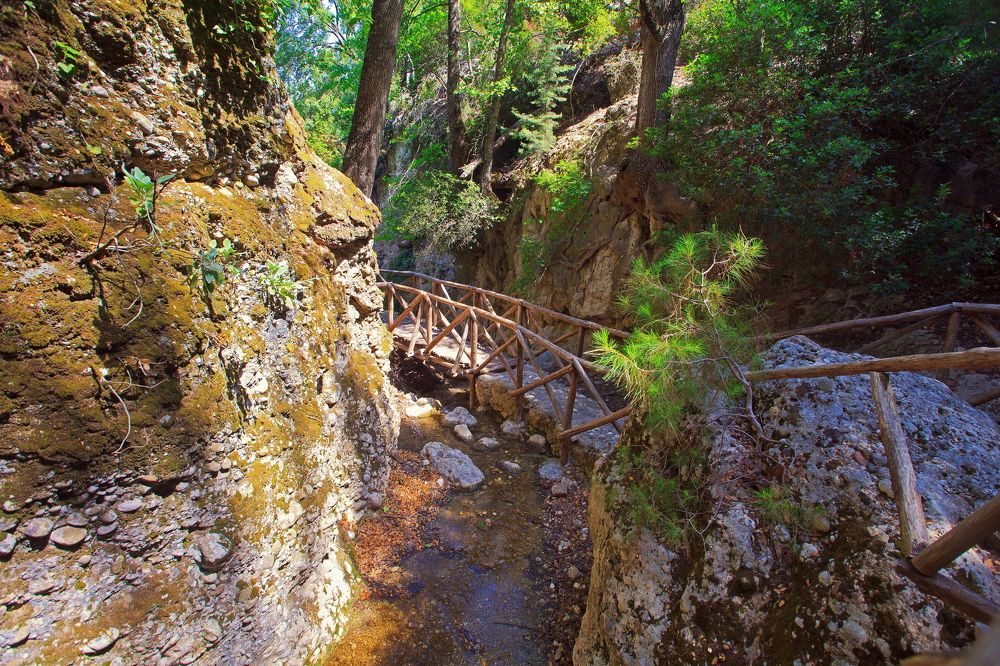 Дорога а ущелье бабочек