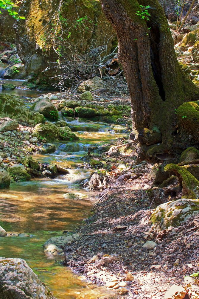 Лазурный ручей