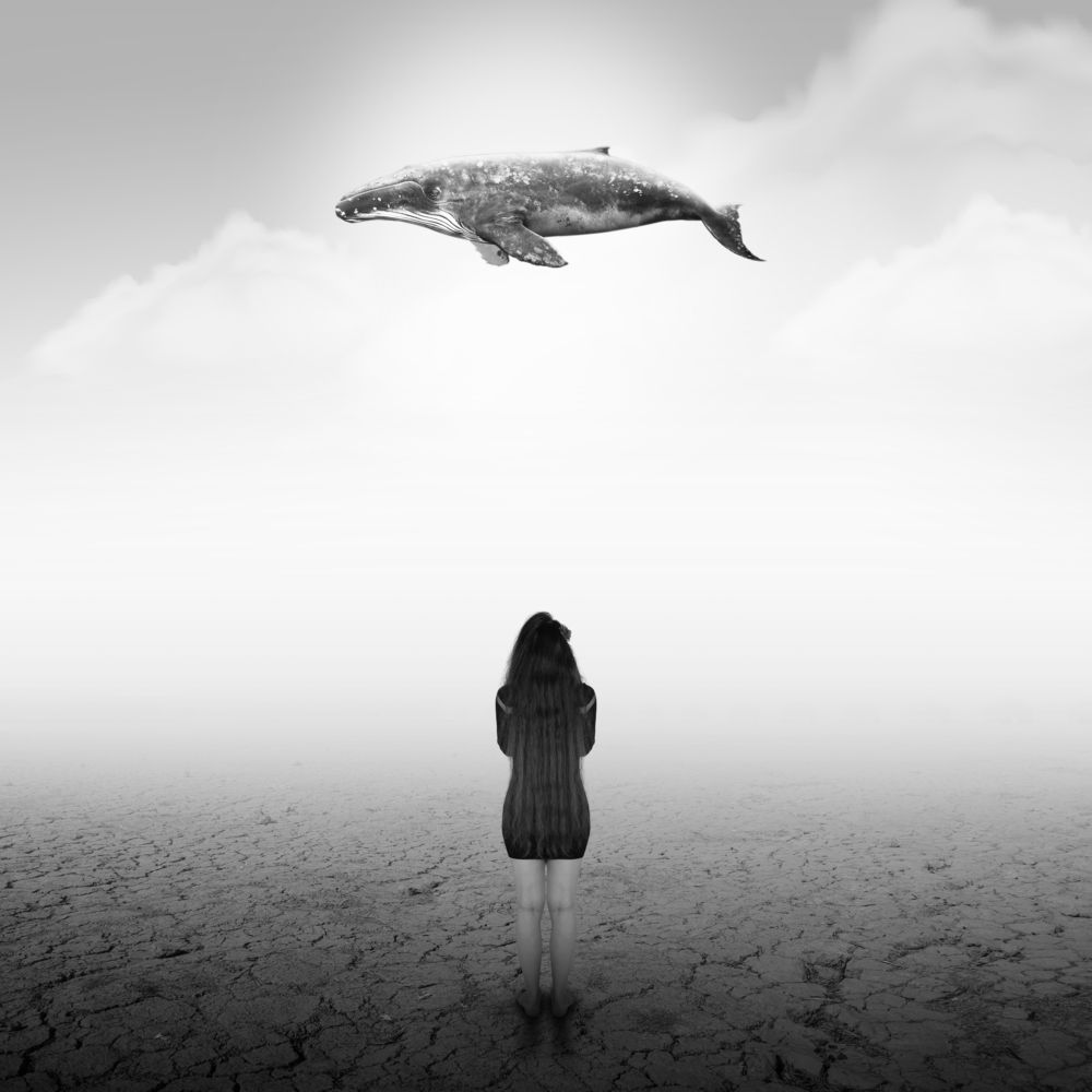 Photograph by Arastoo Zokaei