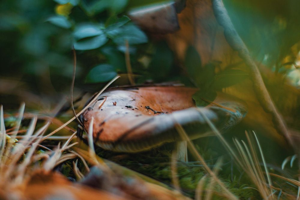 Photograph by Иоанн Степанченко