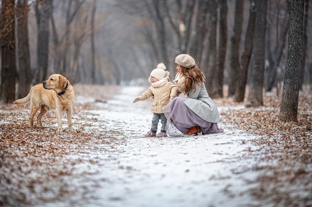Встреча с таинственным псом