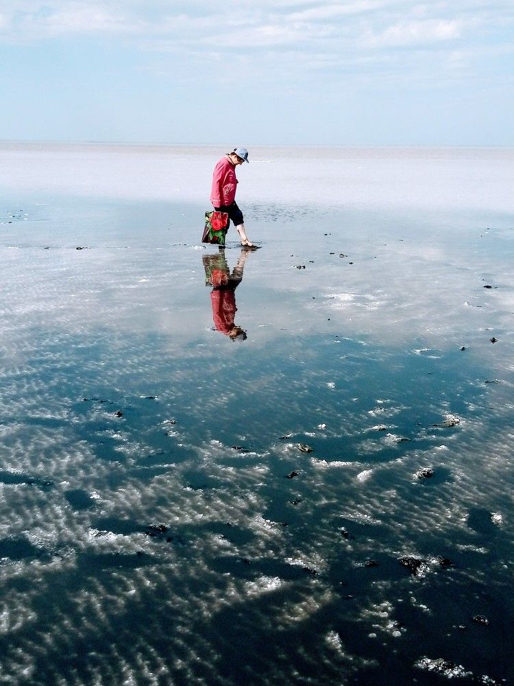 Своей тропой