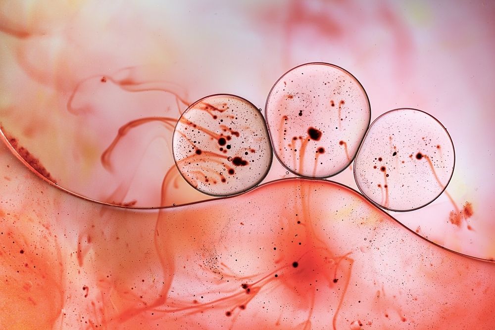 Stained oil drops on water surface, Macro photo.