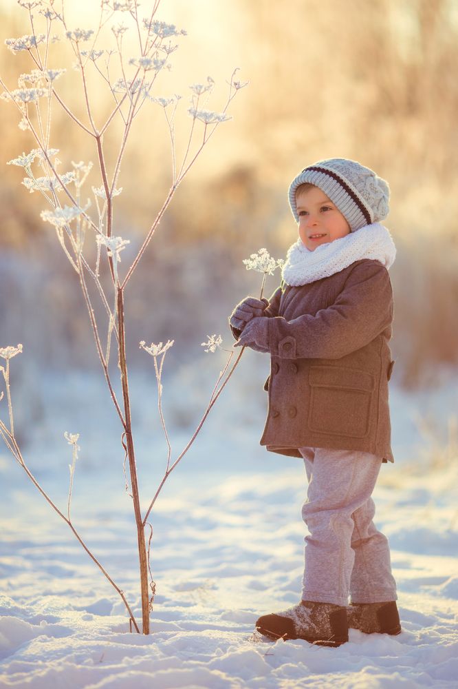 Морозная пора