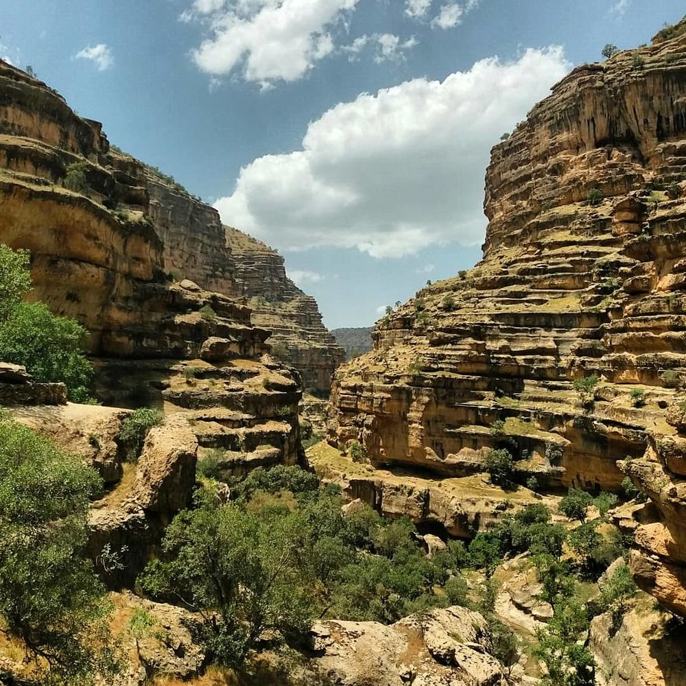 Iranian photograperrrr