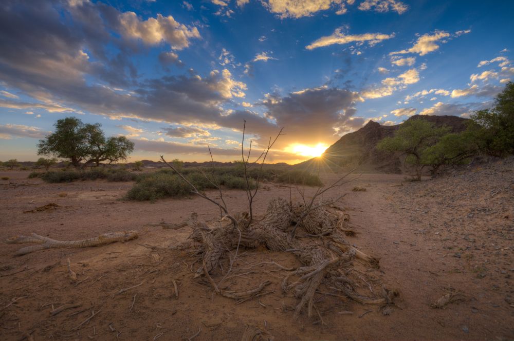 Пустыня Гоби