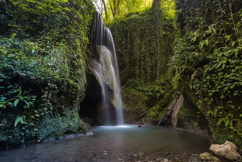 Лесной великан в ожидании весны