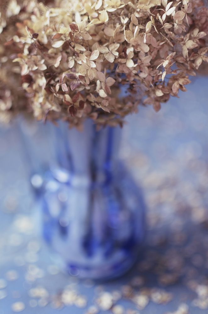 Осенняя мелодия