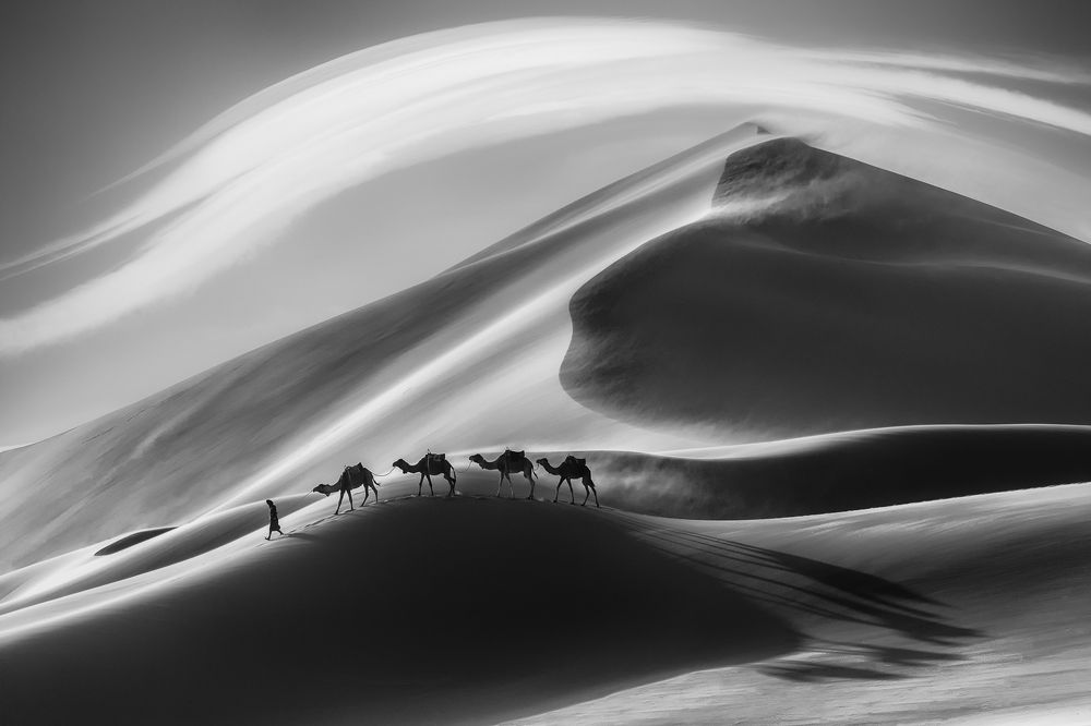 Caravan in the wind mono