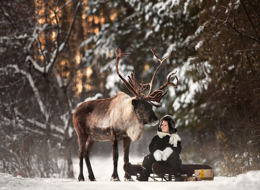 Лесной друг